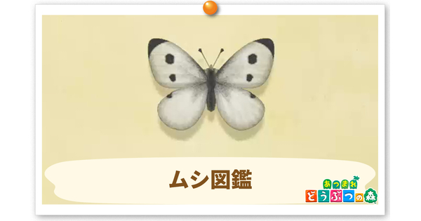 ムシ図鑑の画像
