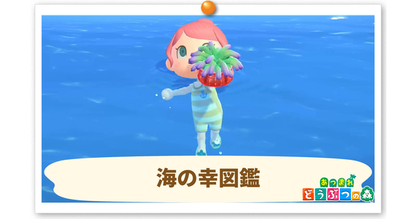 海の幸図鑑の画像