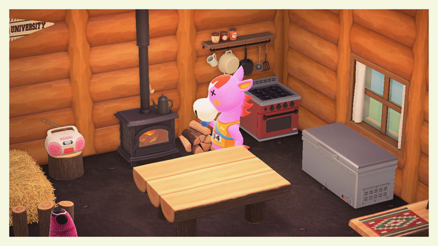 ドサコの部屋の画像