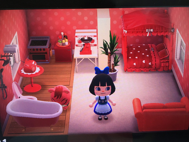 アセロラの部屋の画像