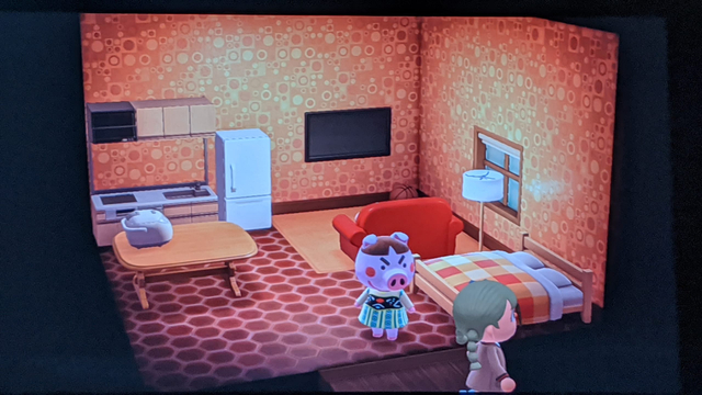 トンコの部屋の画像