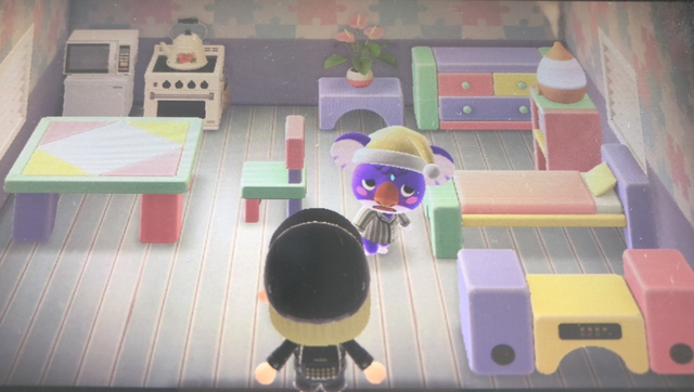 シドニーの部屋の画像