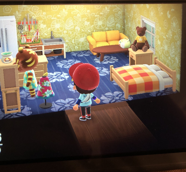 ルーズの部屋の画像