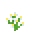 ヒナソウ