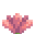 サボテンの花