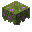 開花したツツジ