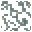 ヒカリゴケ