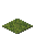 苔のカーペット