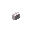 ペールオークのボタン