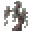 ペールオークの苗木