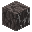 ペールオークの木