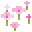 桜色の花びら