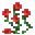 バラの低木