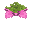 胞子の花