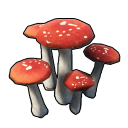 キノコ