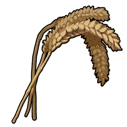 小麦
