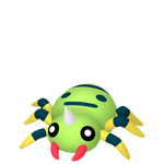 イトマルの画像