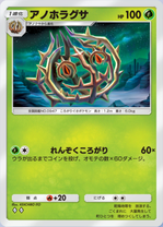 アノホラグサ(パルデアワンダー)の画像