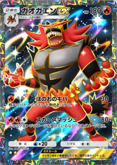 ガオガエンex(双天の守護者)(★2)の画像
