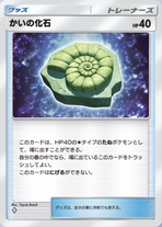 かいの化石_1