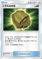 こうらの化石_1