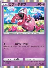 カプ・テテフ(双天の守護者)_1